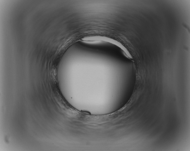 X0000099400045200805221906