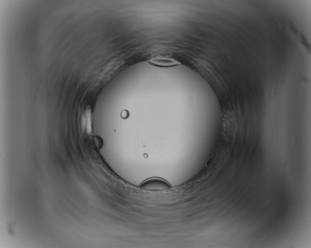 X0000099400046200805221906