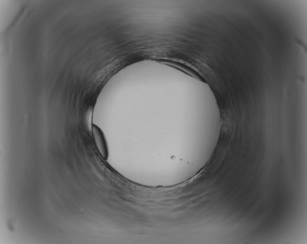 X0000099400047200805221906