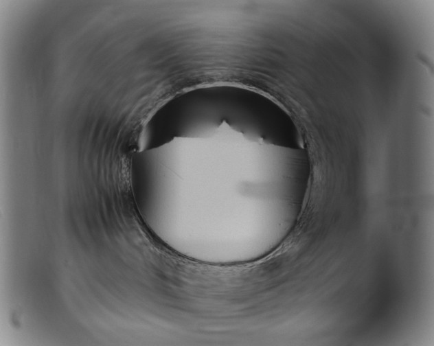 X0000099400048200805221906