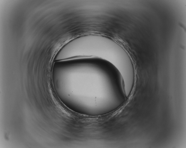 X0000099400049200805221905