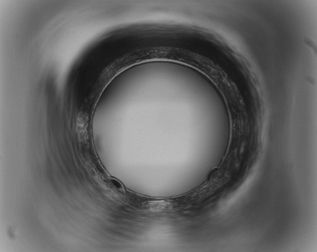 X0000099400050200805221905