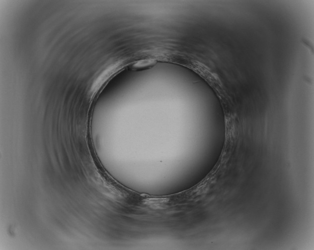 X0000099400051200805221905