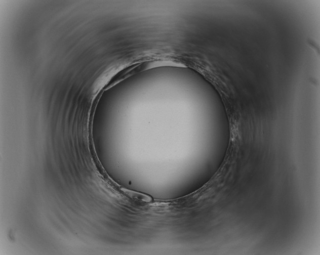 X0000099400052200805221905