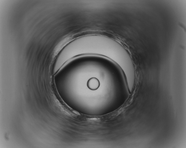 X0000099400053200805221905