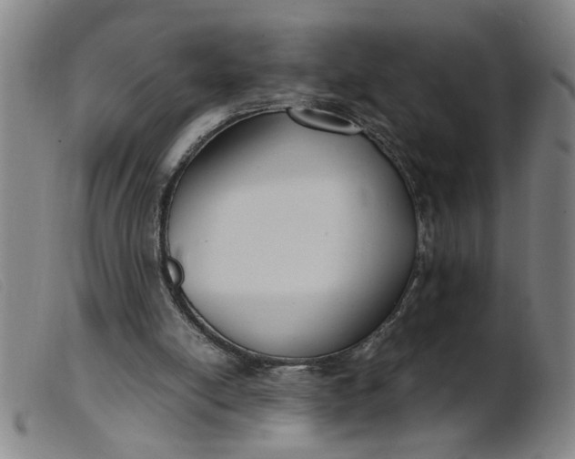 X0000099400054200805221905