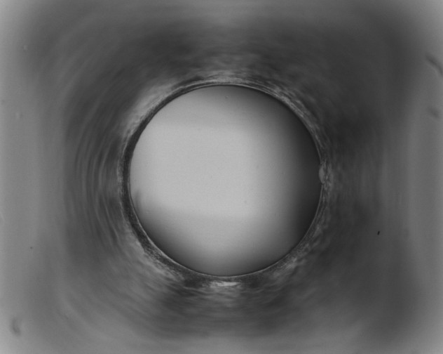 X0000099400055200805221905