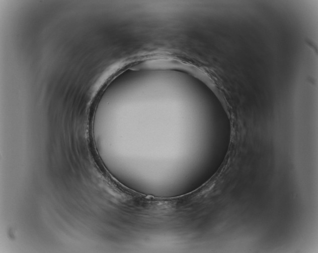 X0000099400056200805221905