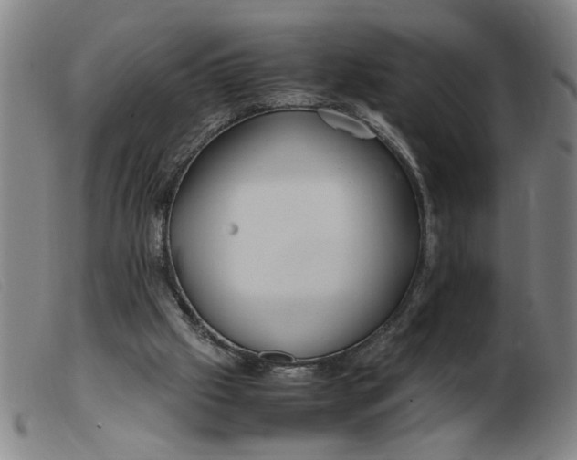 X0000099400057200805221905