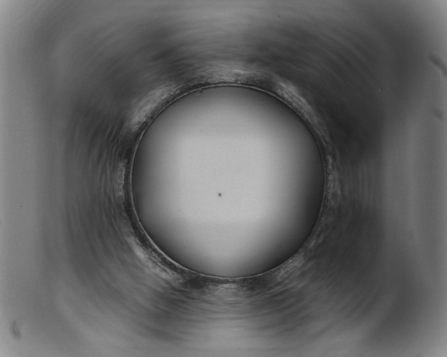 X0000099400058200805221905