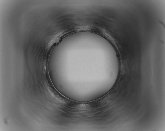 X0000099400059200805221905