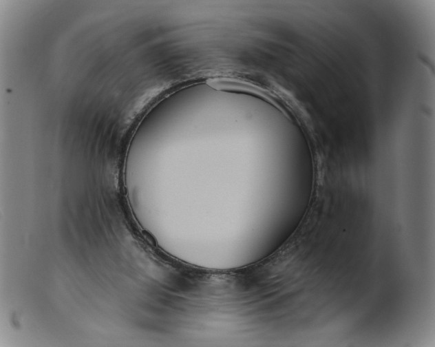 X0000099400060200805221905