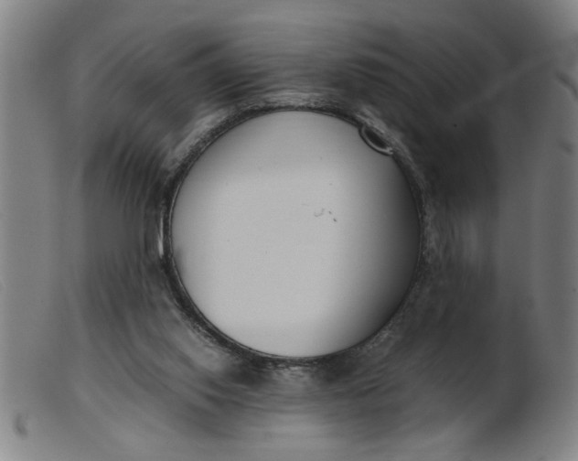 X0000099400062200805221905