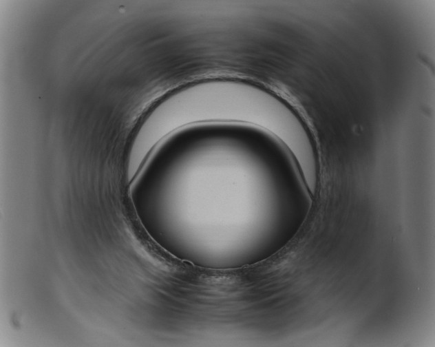 X0000099400063200805221905