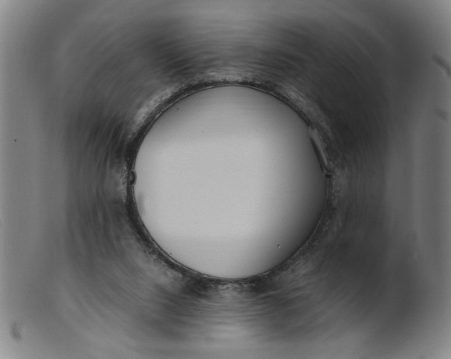 X0000099400064200805221905