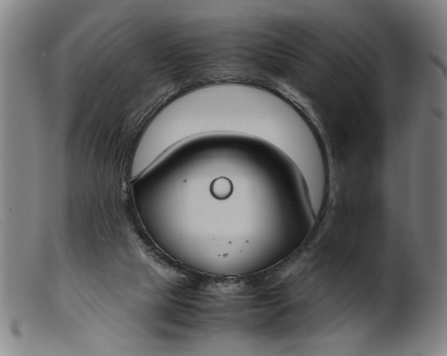 X0000099400065200805221905