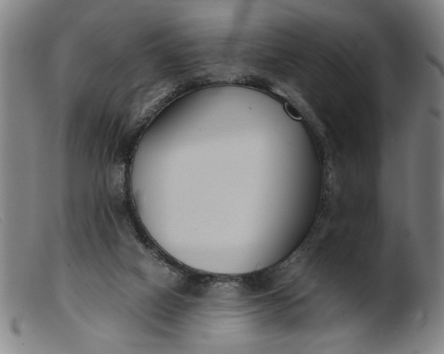 X0000099400066200805221905