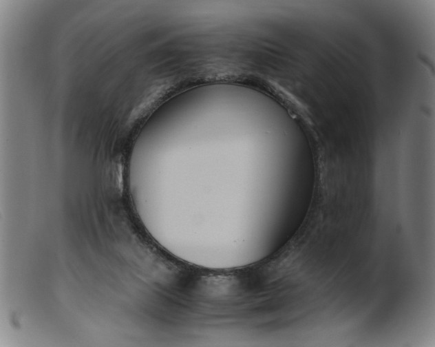 X0000099400067200805221905