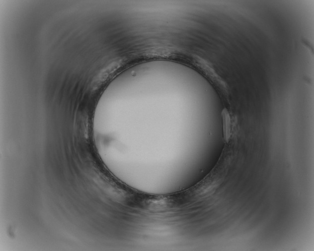 X0000099400068200805221905