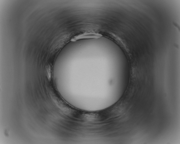 X0000099400069200805221905