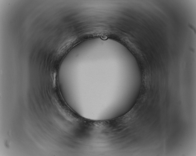 X0000099400070200805221905