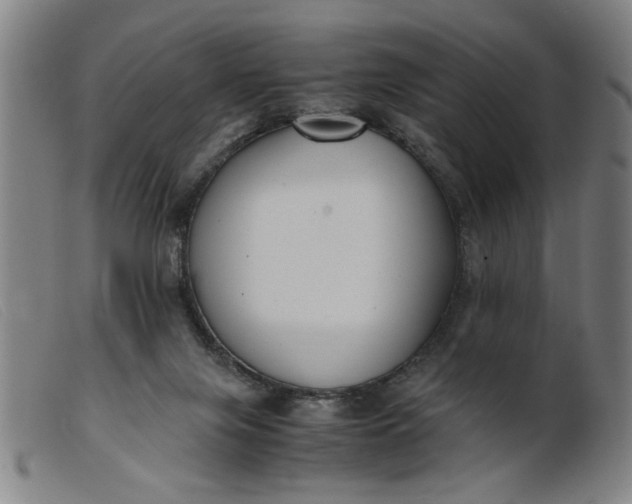 X0000099400071200805221905