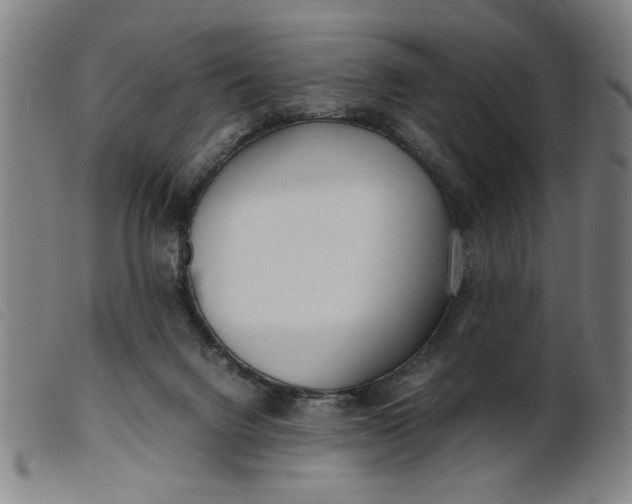 X0000099400072200805221905