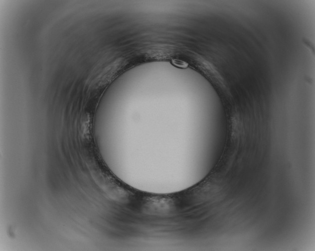 X0000099400073200805221905