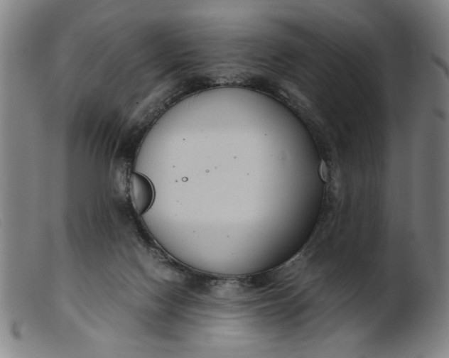 X0000099400074200805221905