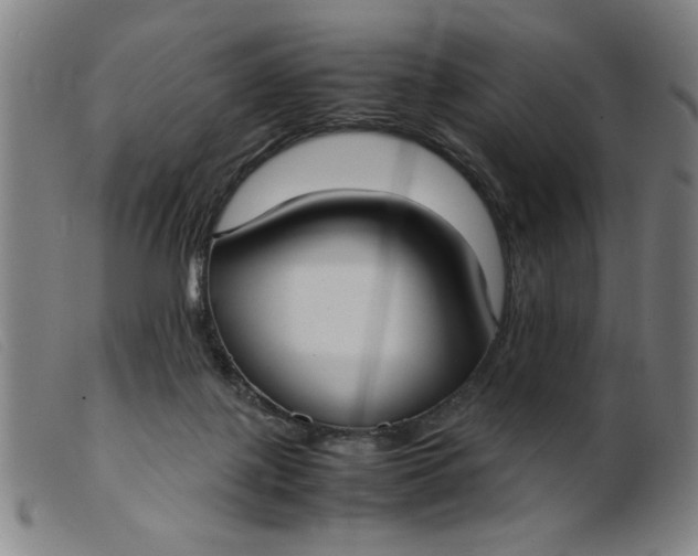 X0000099400075200805221905