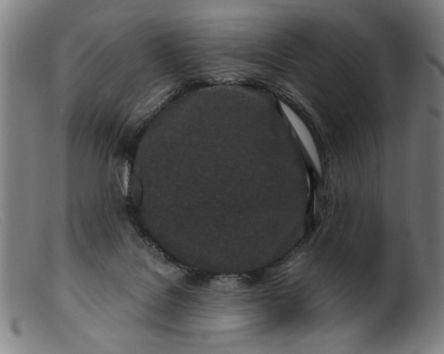 X0000099400076200805221905