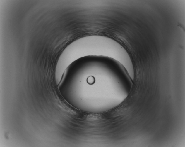 X0000099400077200805221905