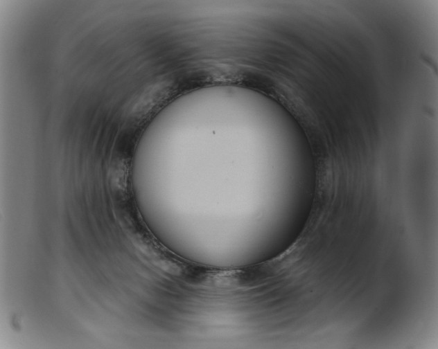 X0000099400078200805221905