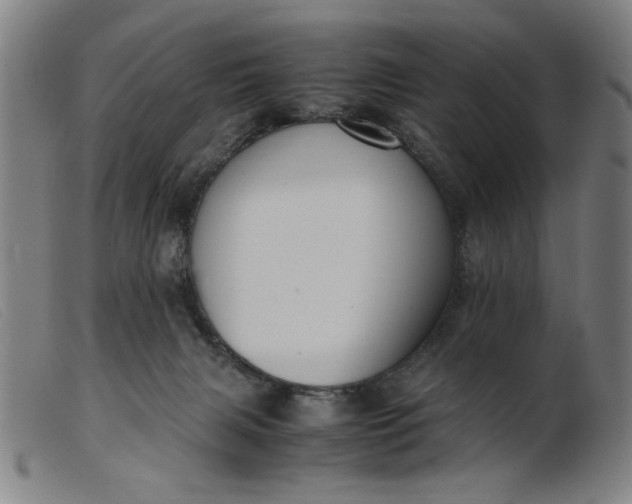 X0000099400079200805221905