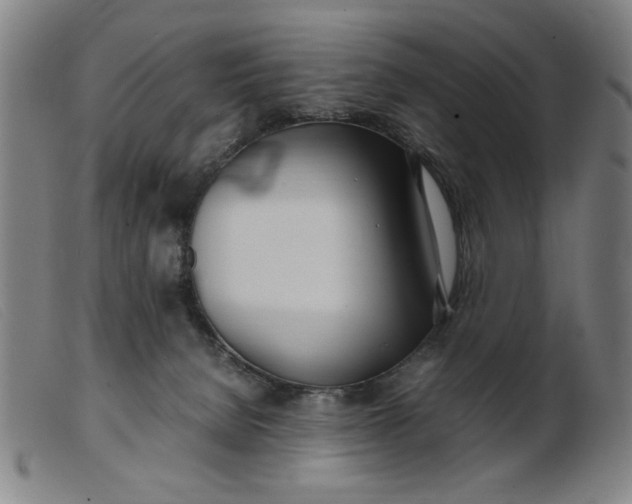 X0000099400080200805221905