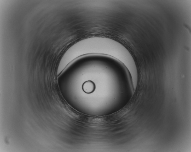 X0000099400081200805221905