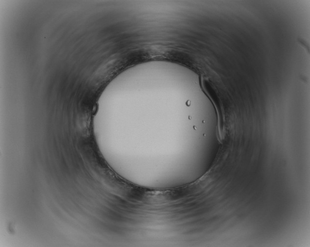 X0000099400082200805221905