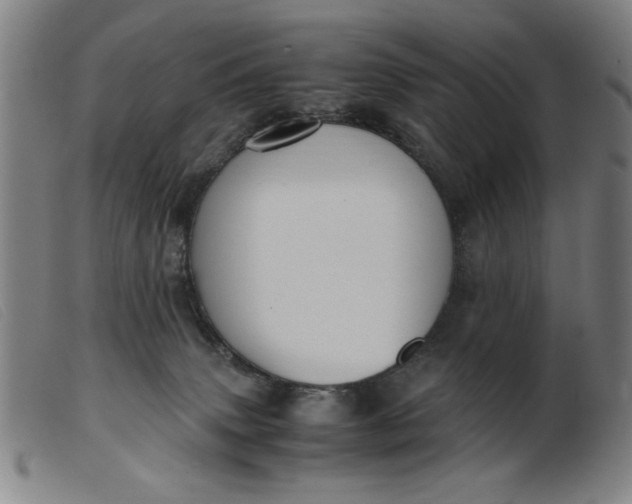 X0000099400083200805221905