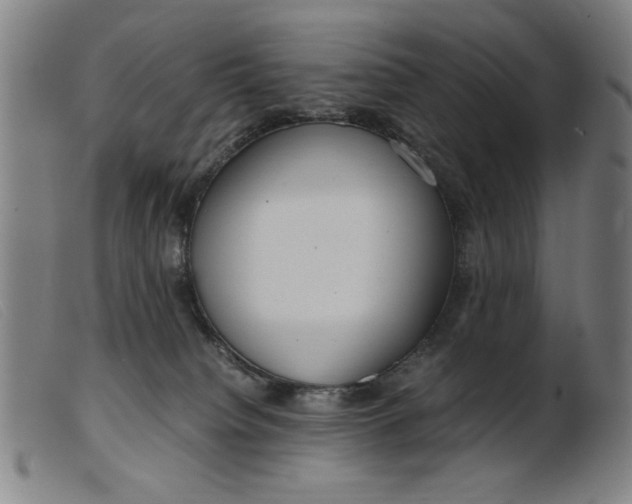 X0000099400084200805221905