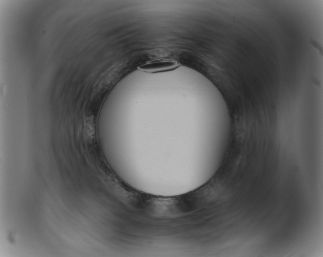 X0000099400085200805221905