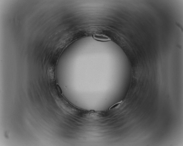 X0000099400086200805221905