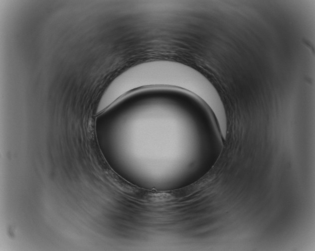 X0000099400087200805221905