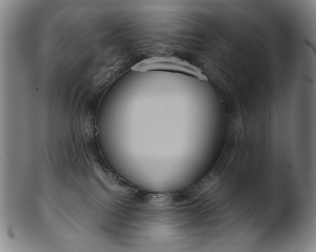 X0000099400088200805221905