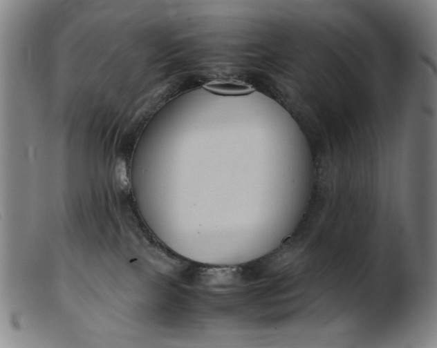 X0000099400089200805221905