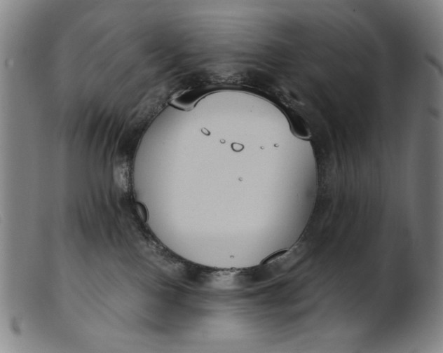 X0000099400090200805221905