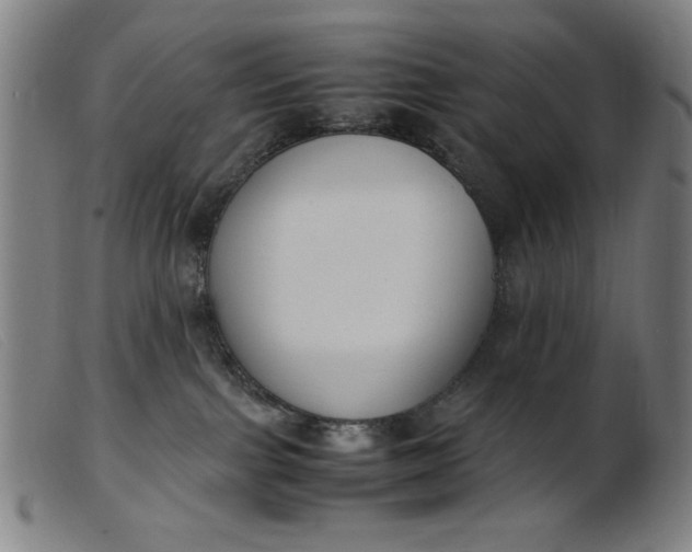 X0000099400091200805221906