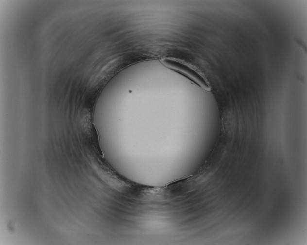 X0000099400092200805221906