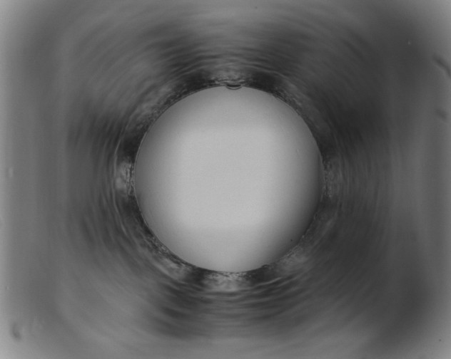 X0000099400093200805221906