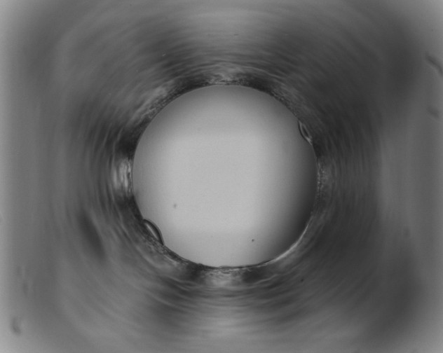 X0000099400094200805221906