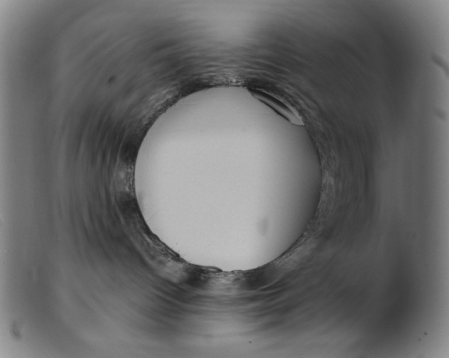 X0000099400096200805221906